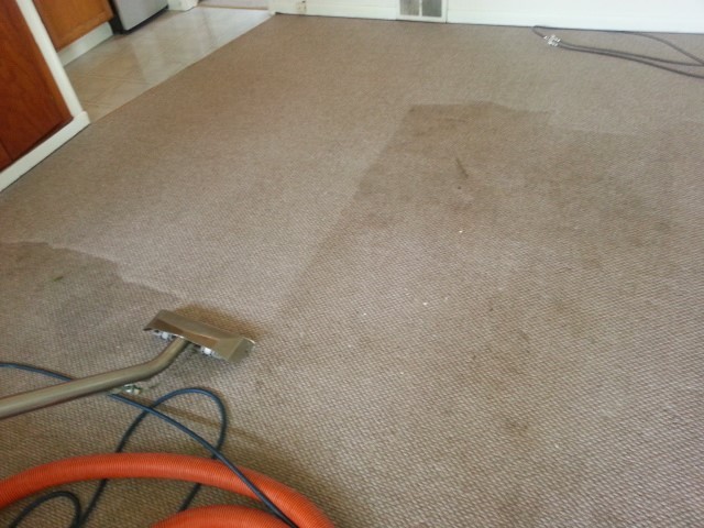 carpet cleaning services in Antioch, carpet cleaning services in Antioch, li
